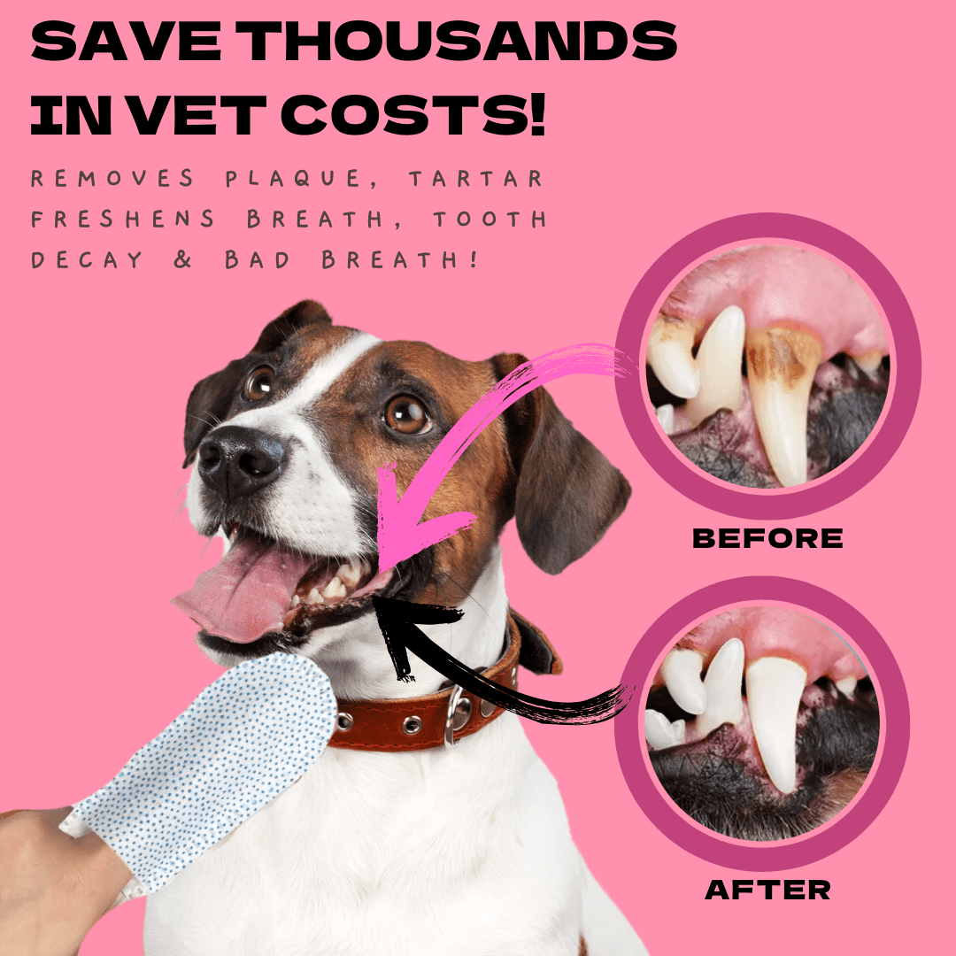 Pet Dental wipes - Petzii