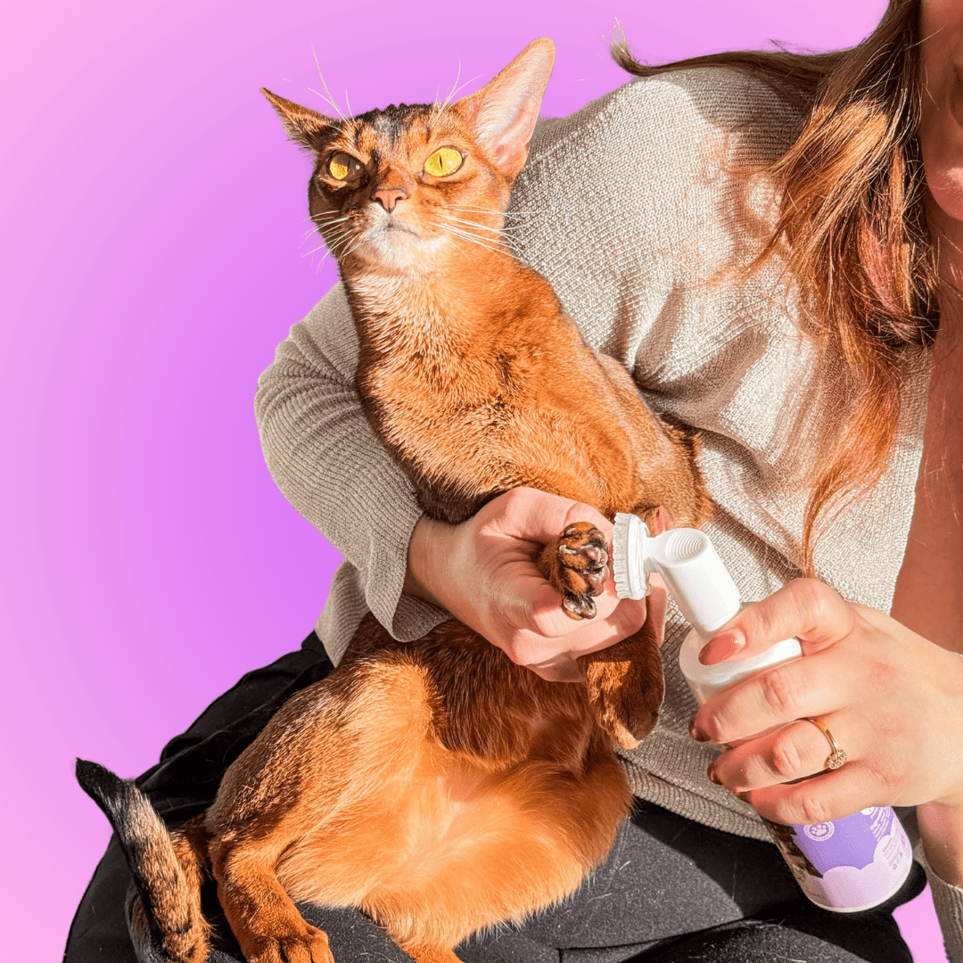 Dog Paw Cleaner - Petzii