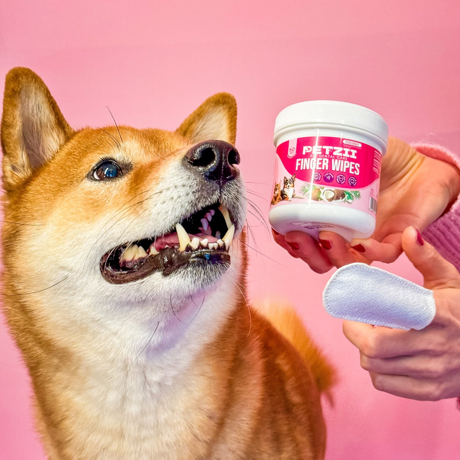 petzii dental finger wipes for dogs